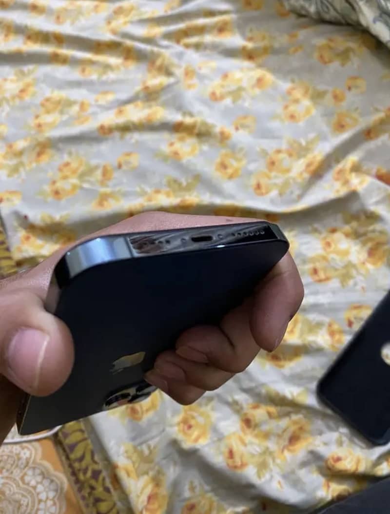 Apple iPhone 12 Pro Max 2