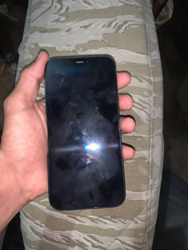 Apple iPhone 12 1