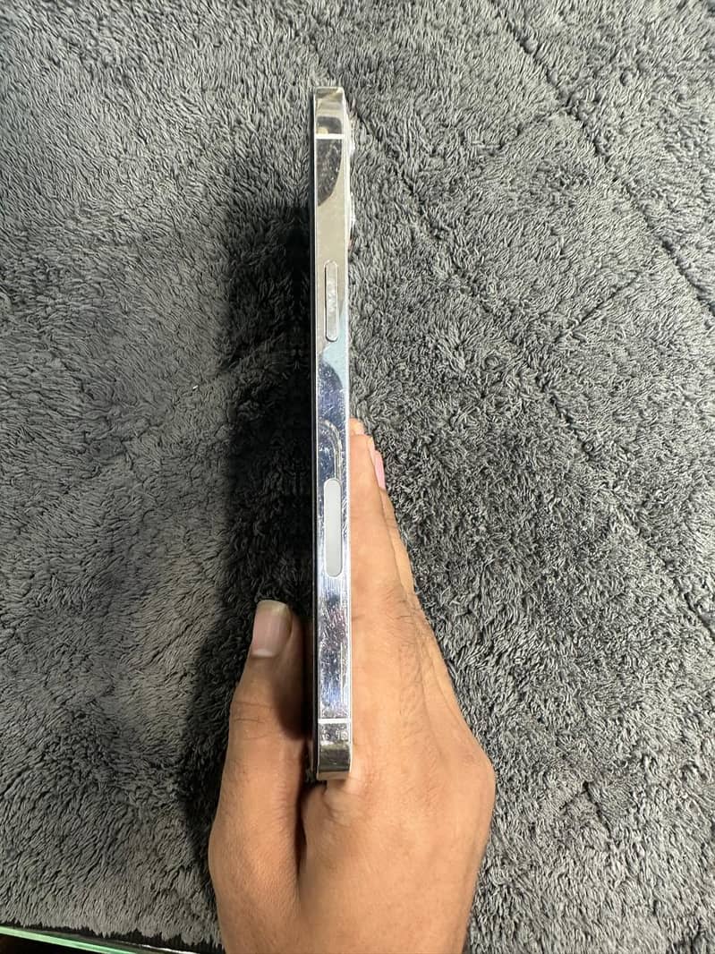 Apple iPhone 12 Pro Max 1