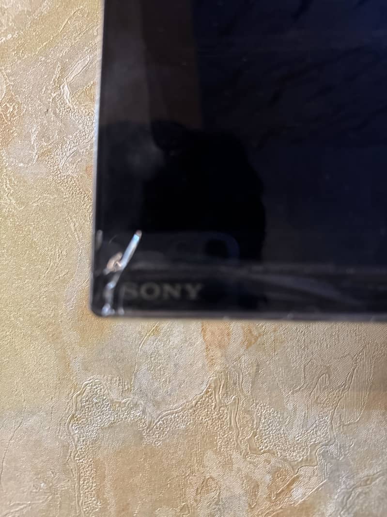 <65> SONY OLED 1