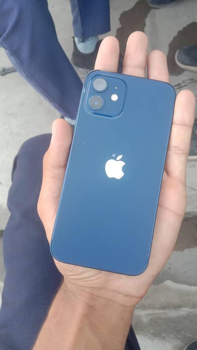 Apple iPhone 12
