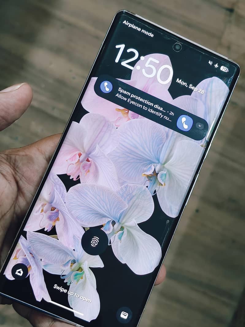 Google Pixel 6 Pro 0