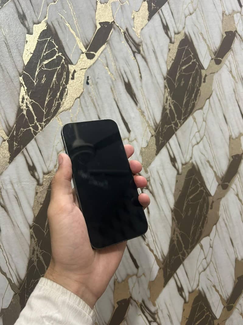 Apple iPhone 13 Pro 1