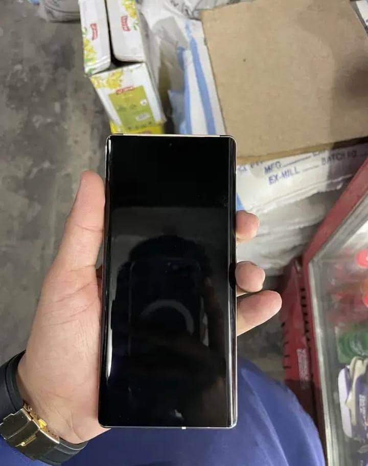 Google Pixel 6 Pro 1