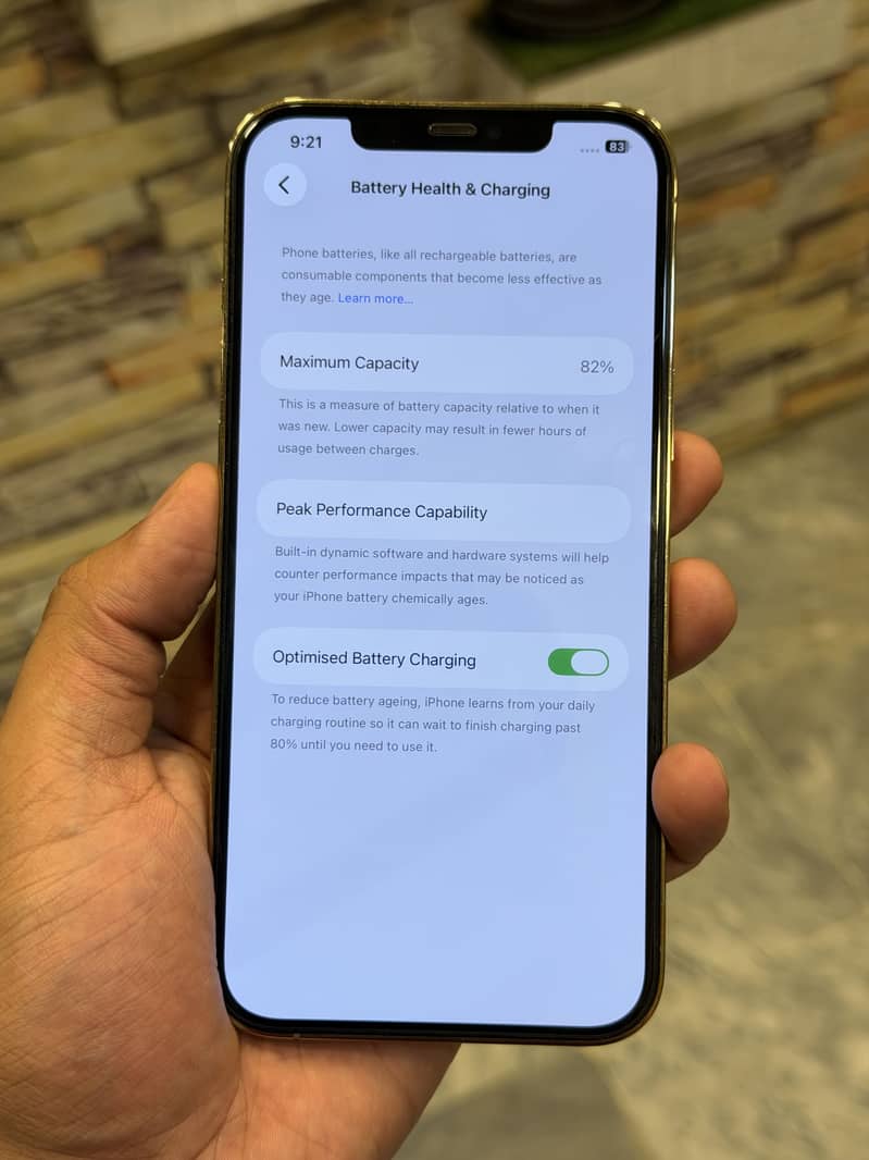 Apple iPhone 12 Pro Max 1