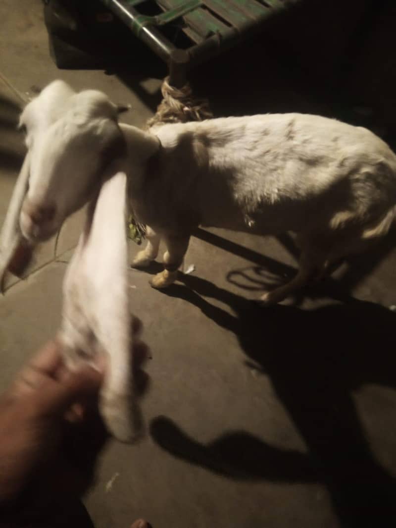 Karachi 2