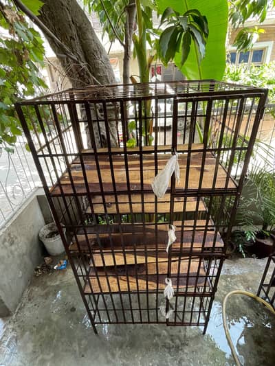 2 Pinjra For new sale Chicken Business