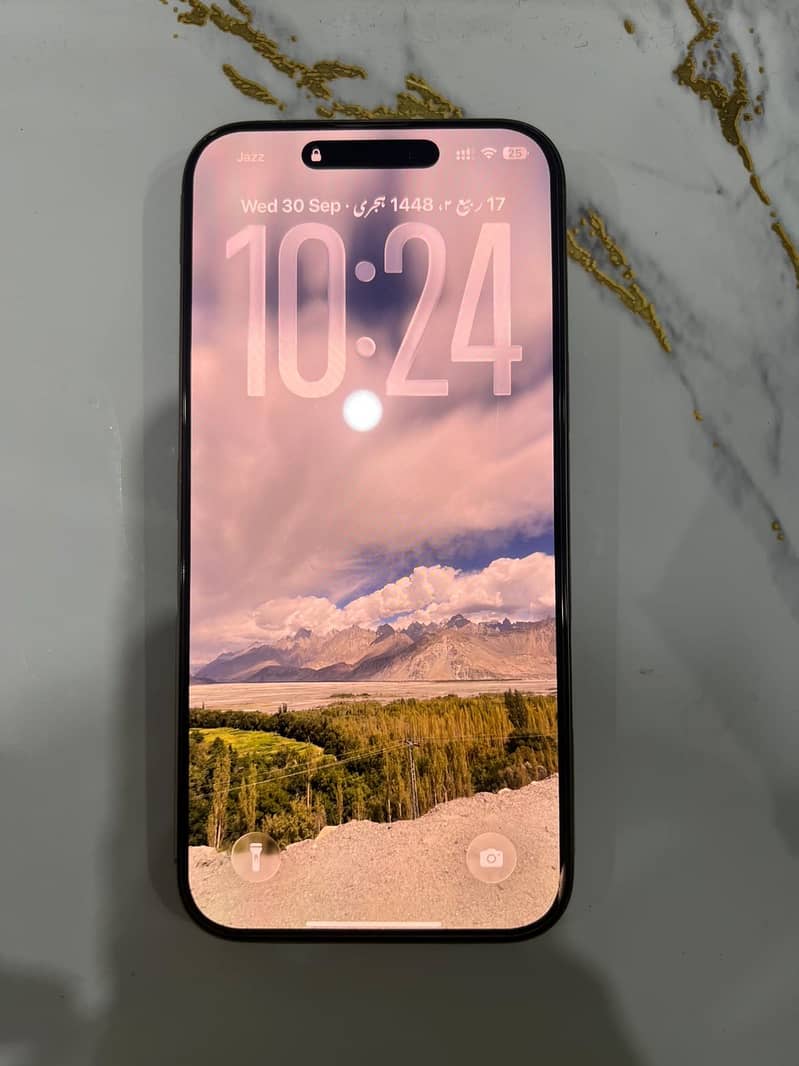 Apple iPhone 16 Pro Max 1