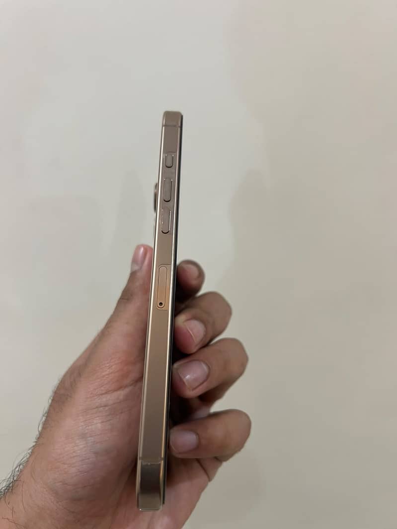 Apple iPhone 16 Pro Max 3