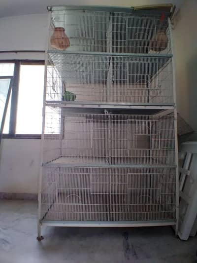 Parrot cage (pinjra)