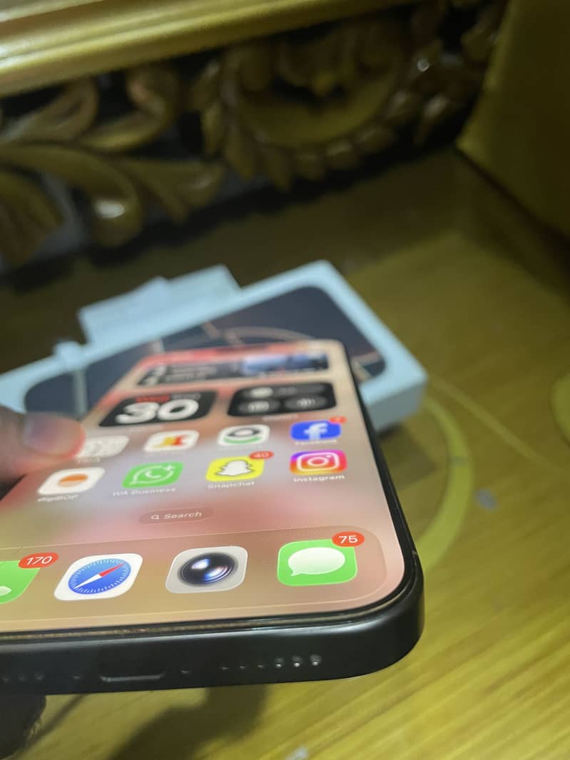 Apple iPhone 16 Pro Max 3