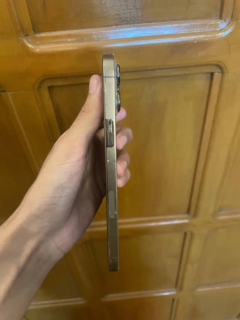 Apple iPhone 13 Pro Max 1