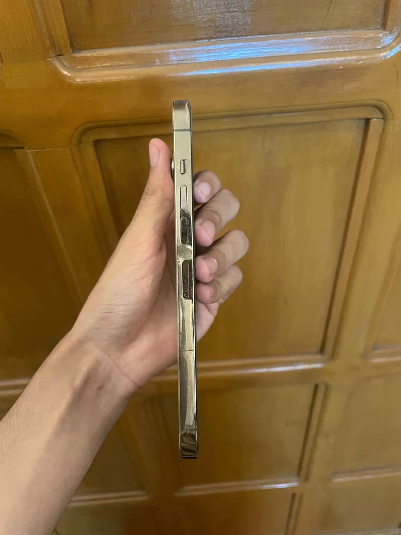 Apple iPhone 13 Pro Max 2