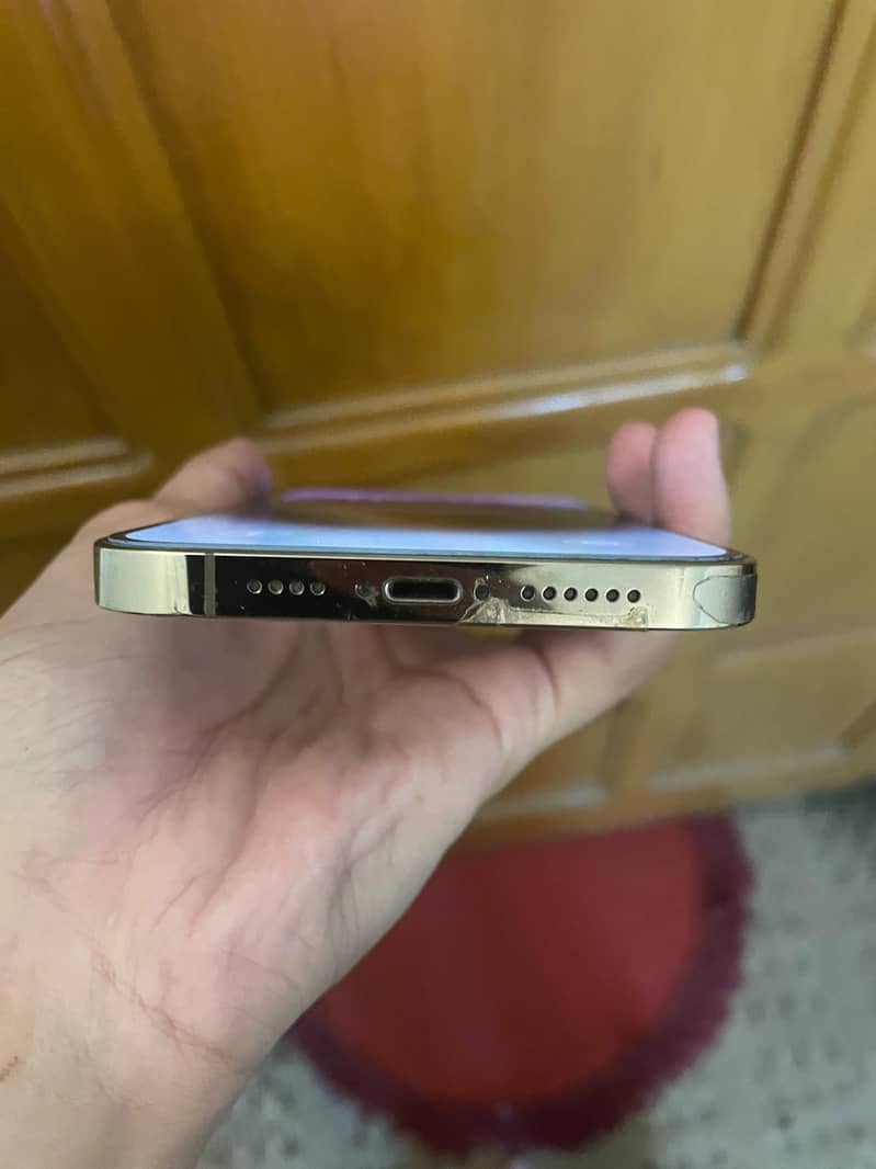 Apple iPhone 13 Pro Max 3