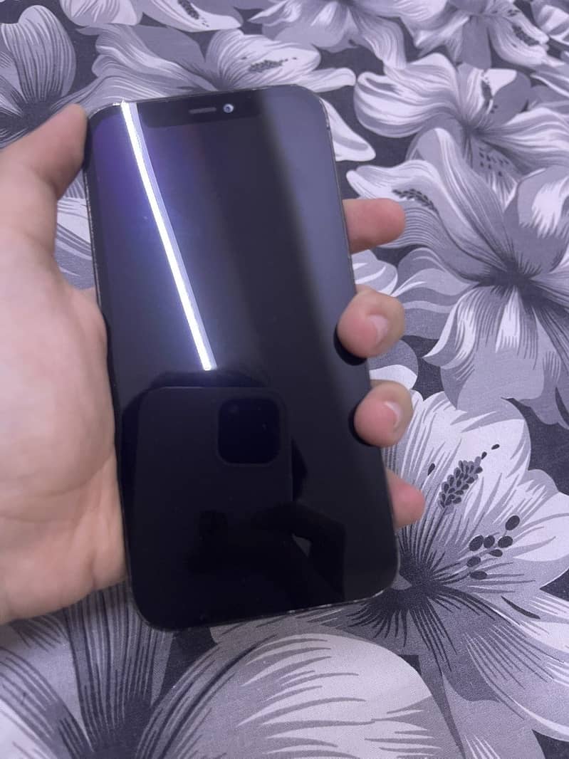 Apple iPhone 12 Pro 0