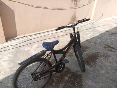 cycle for sale