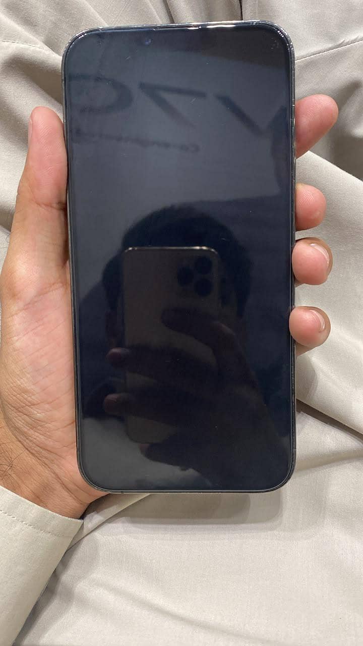 Apple iPhone 13 Pro Max 1
