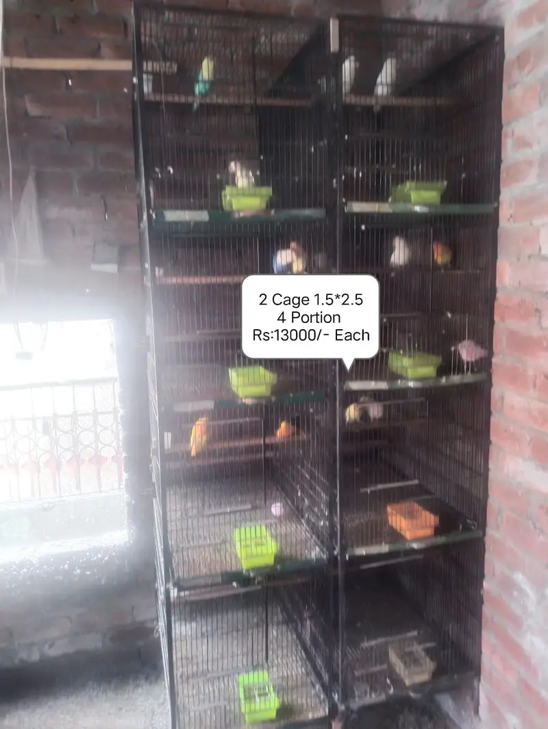 Cage 4 sale for parrot — photo 2