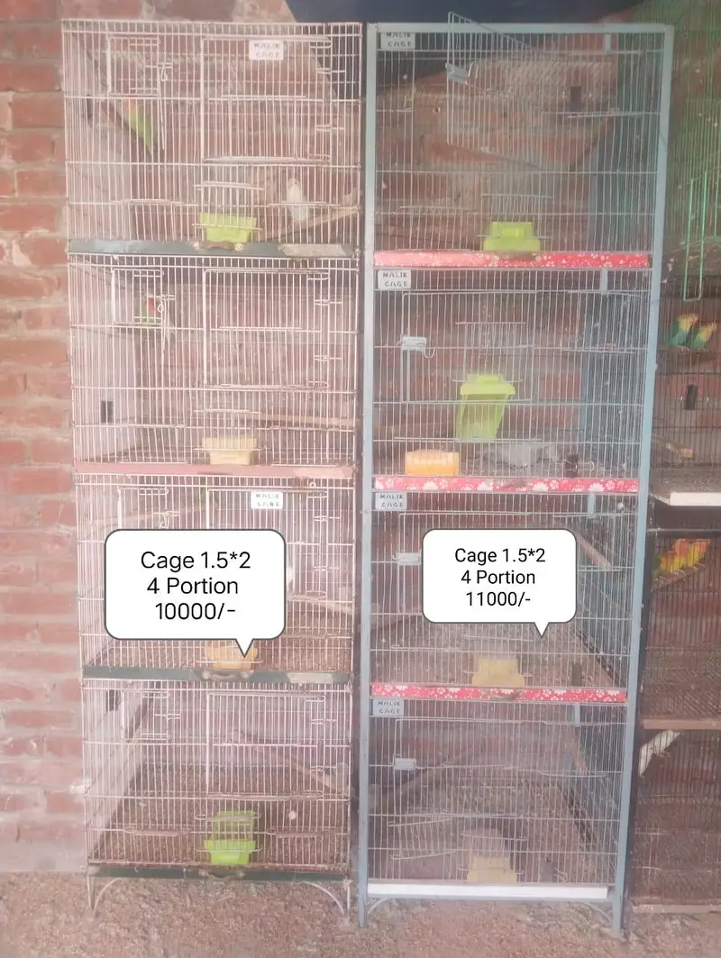 Cage 4 sale for parrot — photo 3
