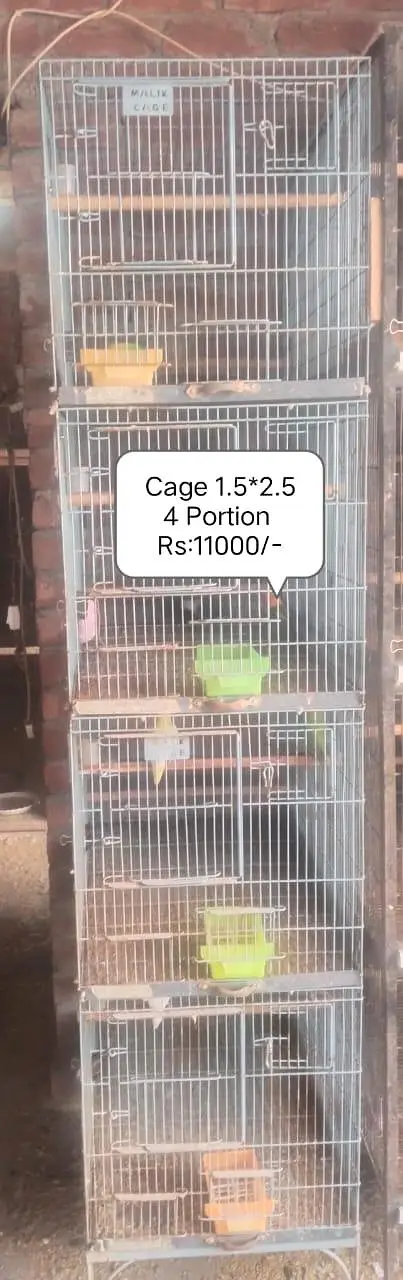 Cage 4 sale for parrot — photo 4
