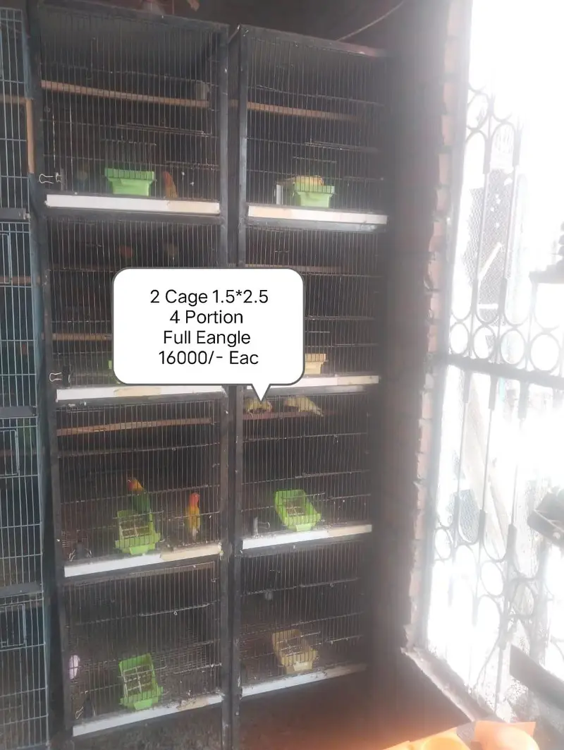Cage 4 sale for parrot — photo 5