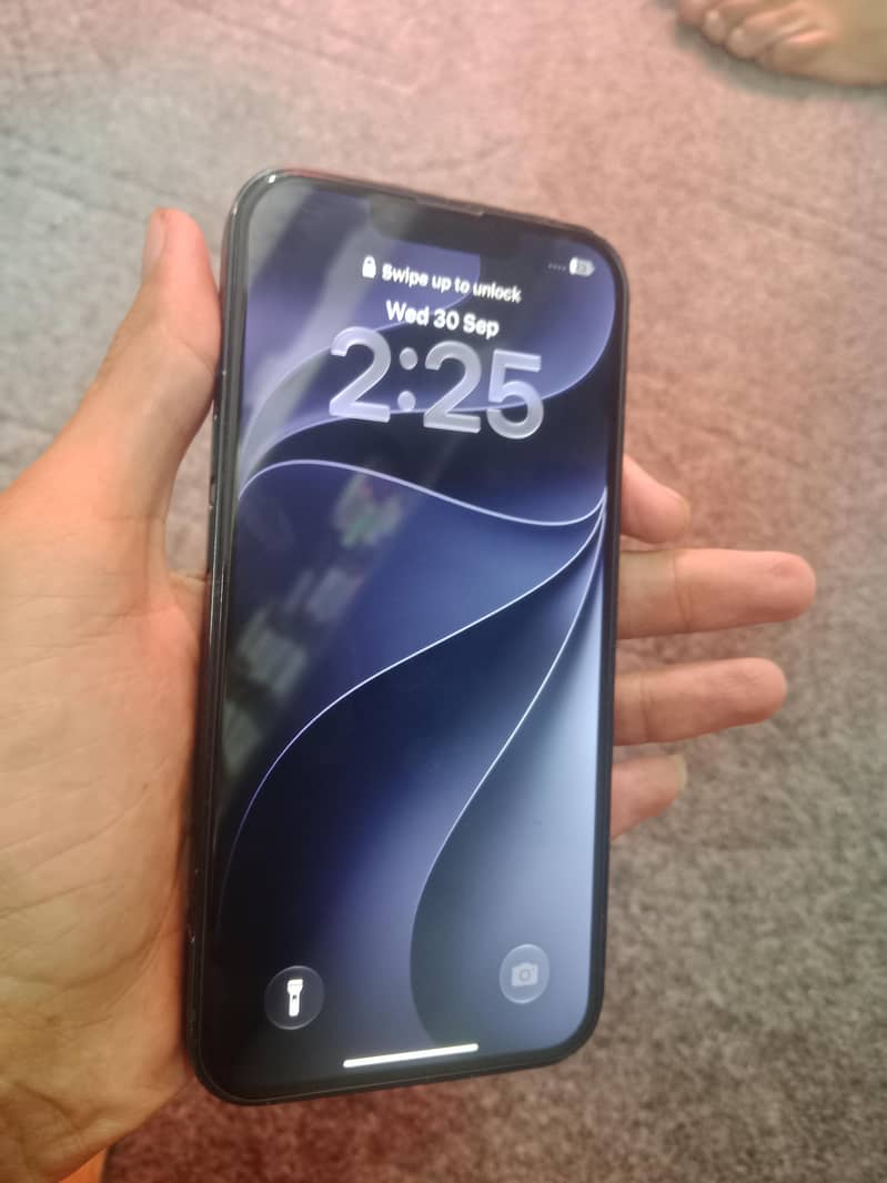 Apple iPhone 13 0