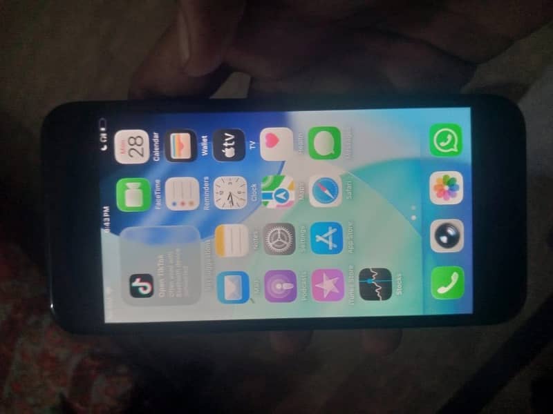 Apple iPhone SE 5