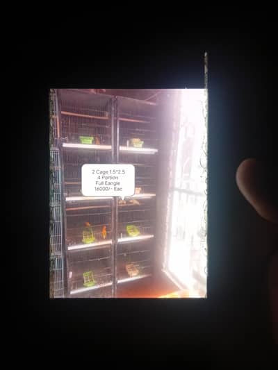 Cages For Sale For Parrot