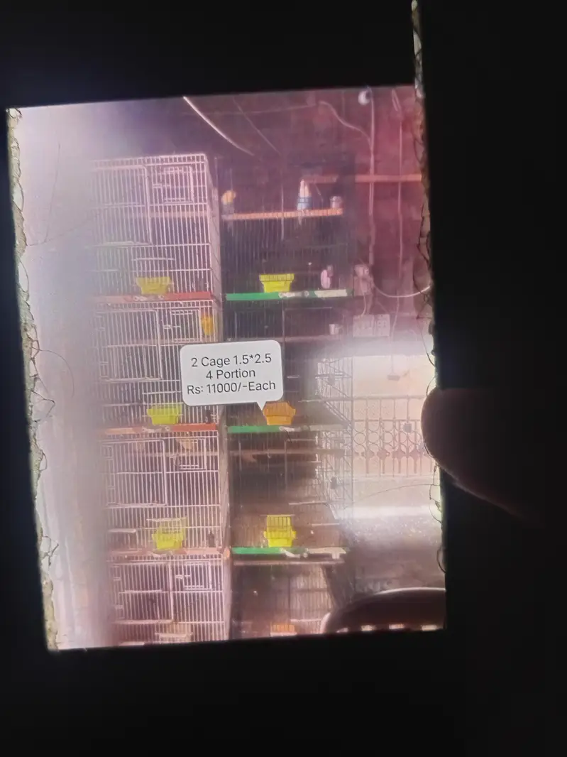 Cages For Sale For Parrot — photo 2