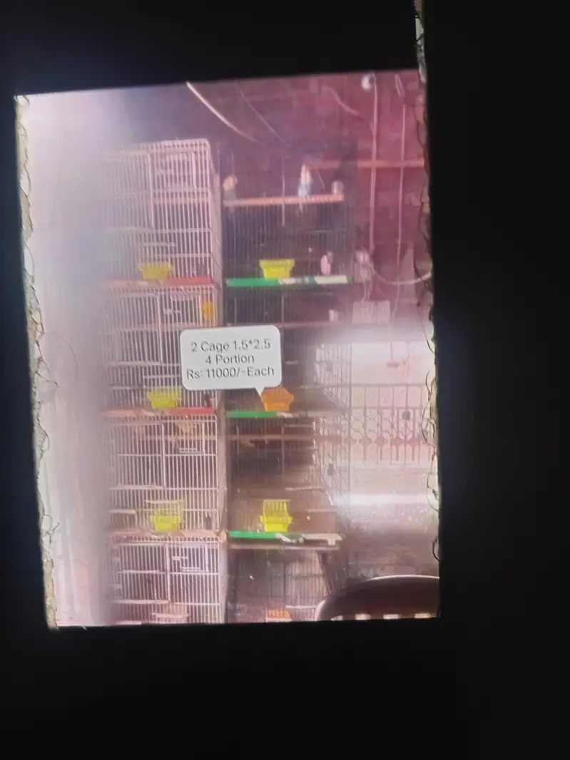 Cages For Sale For Parrot — photo 3