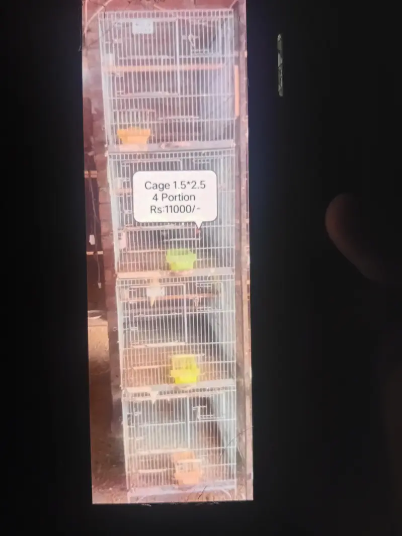 Cages For Sale For Parrot — photo 4