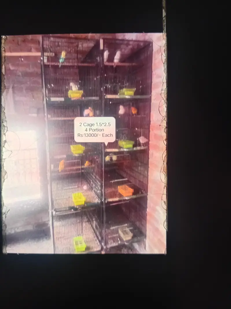 Cages For Sale For Parrot — photo 5