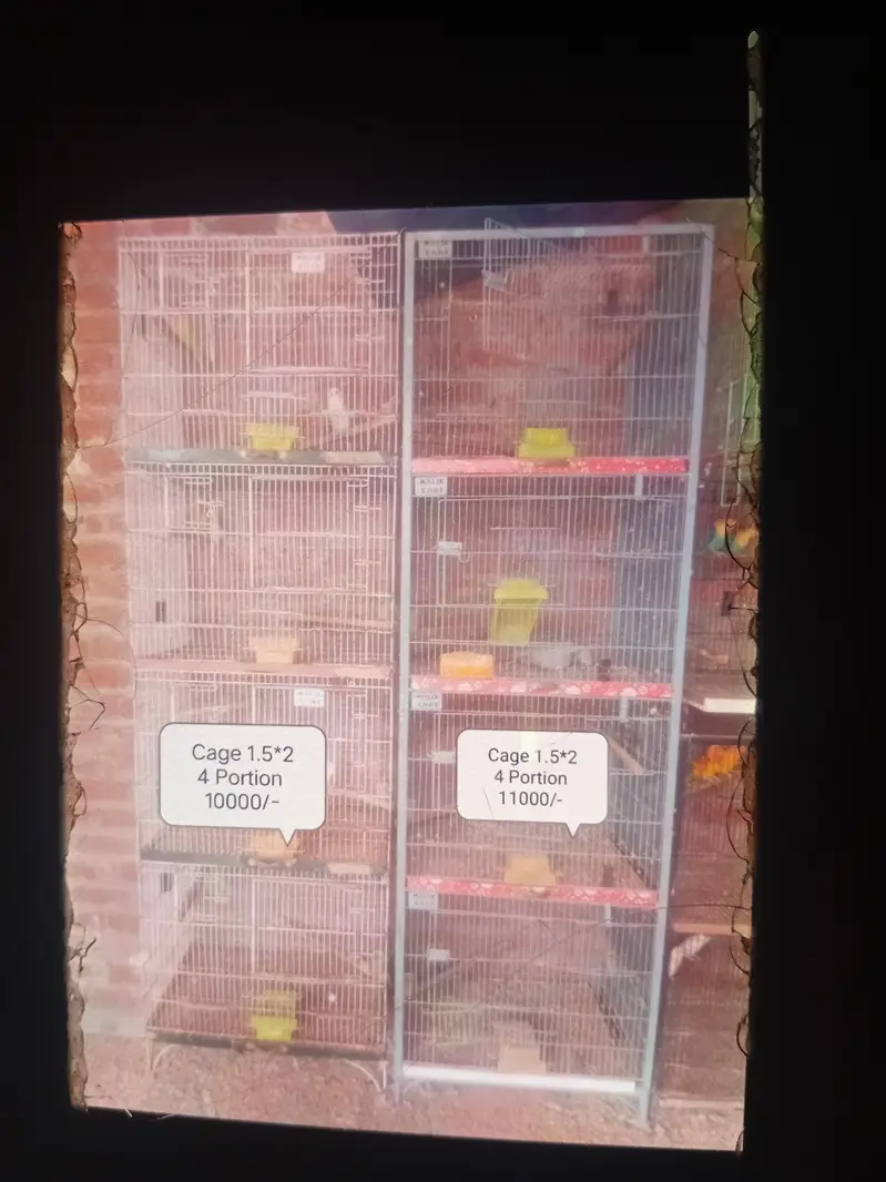 Cages For Sale For Parrot — photo 6