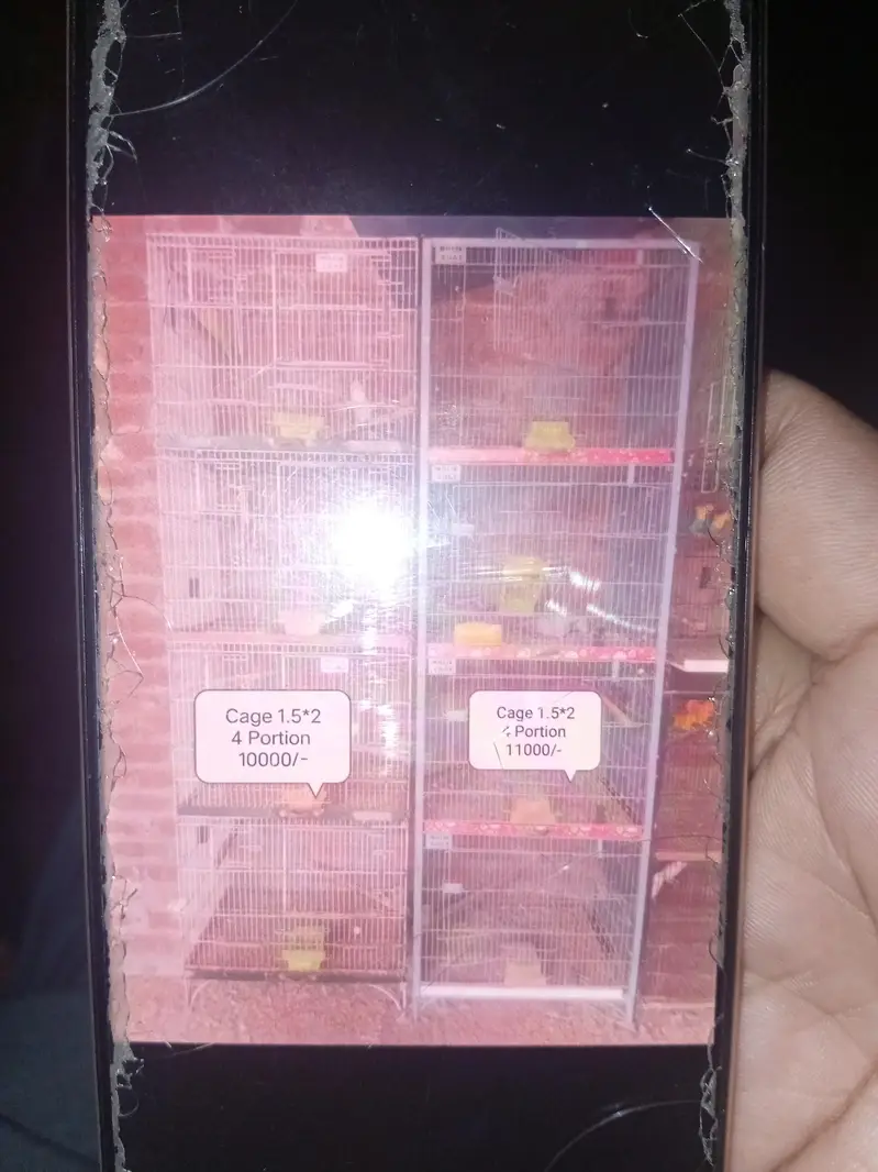 Cages For Sale For Parrot — photo 7