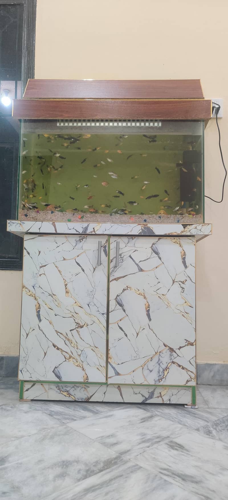 Fish Aquarium 1