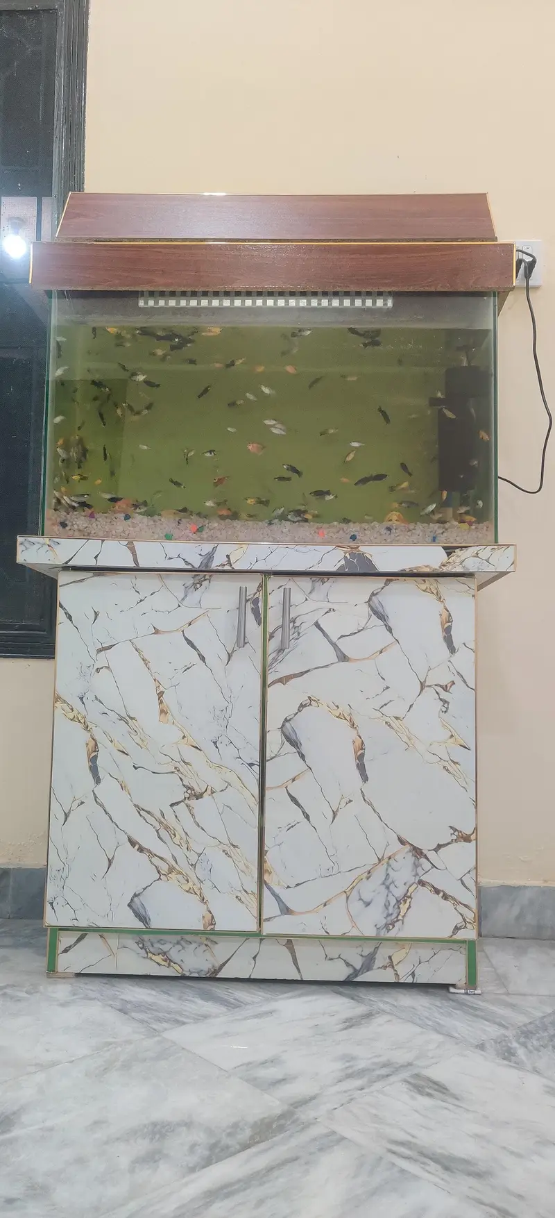 Fish Aquarium — photo 2