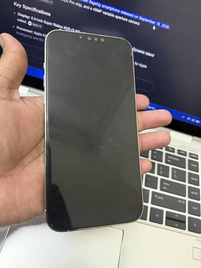 Apple iPhone 13 Pro Max