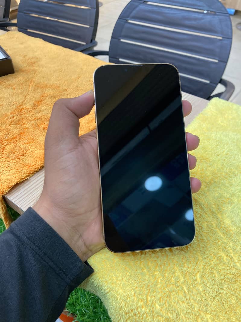 Apple iPhone 13 Pro Max 1