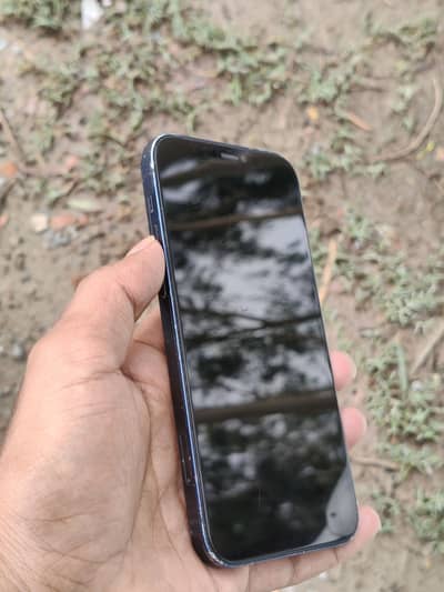 Apple iPhone 12