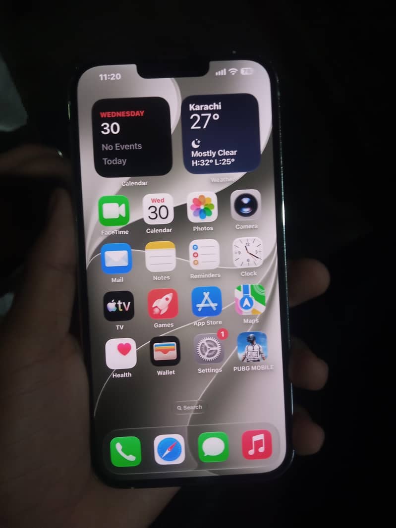 Apple iPhone 13 Pro Max 1