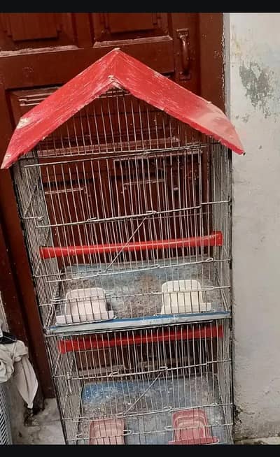 parrots,cages