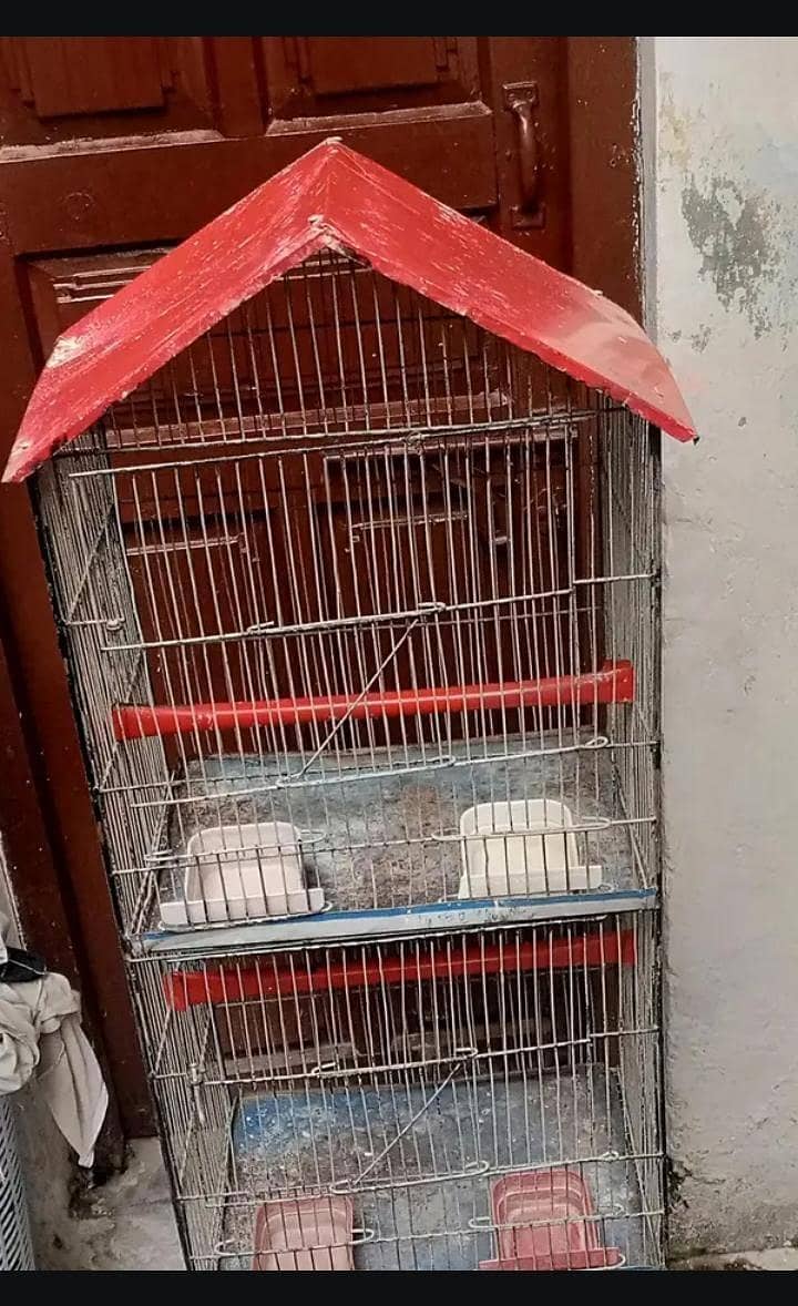 parrots,cages 2