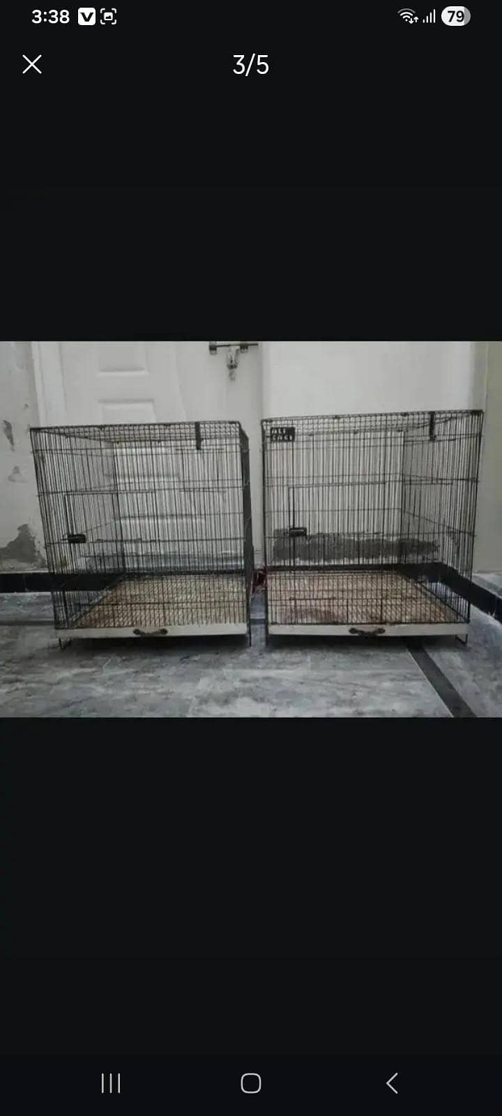 parrots,cages 4
