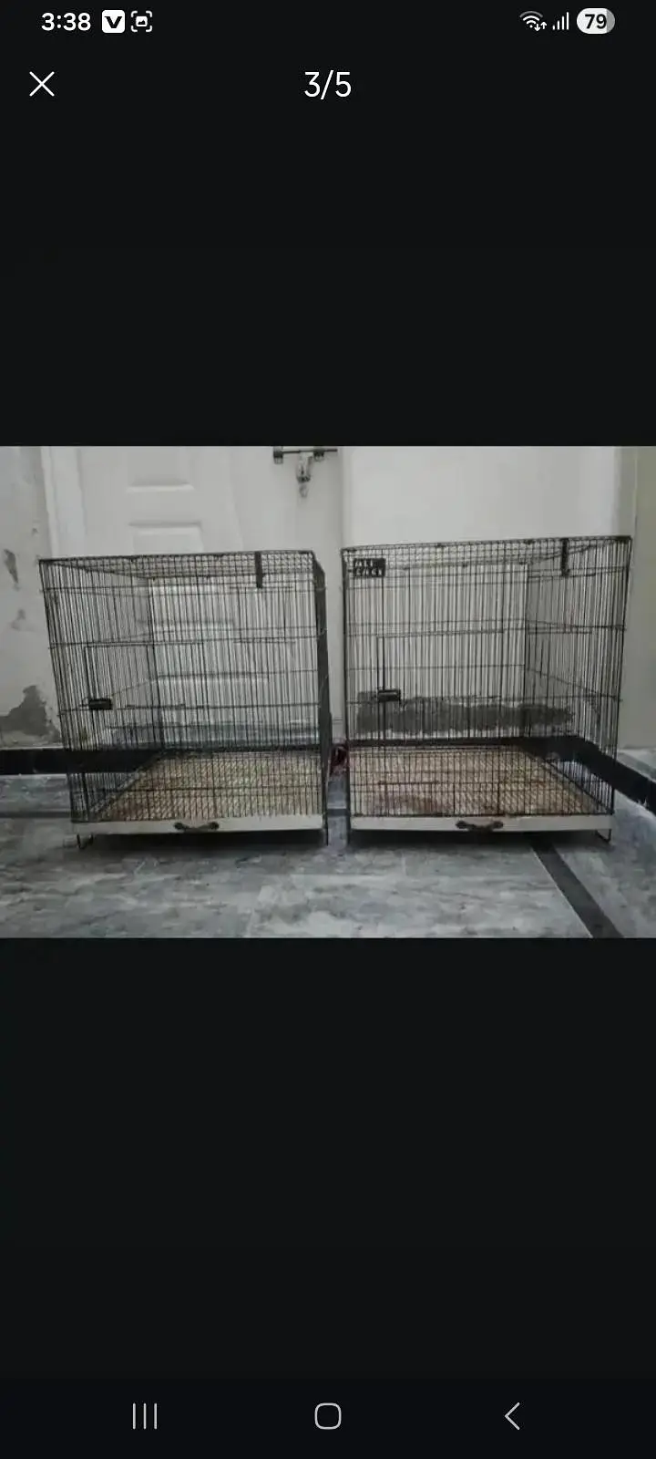 parrots,cages — photo 5
