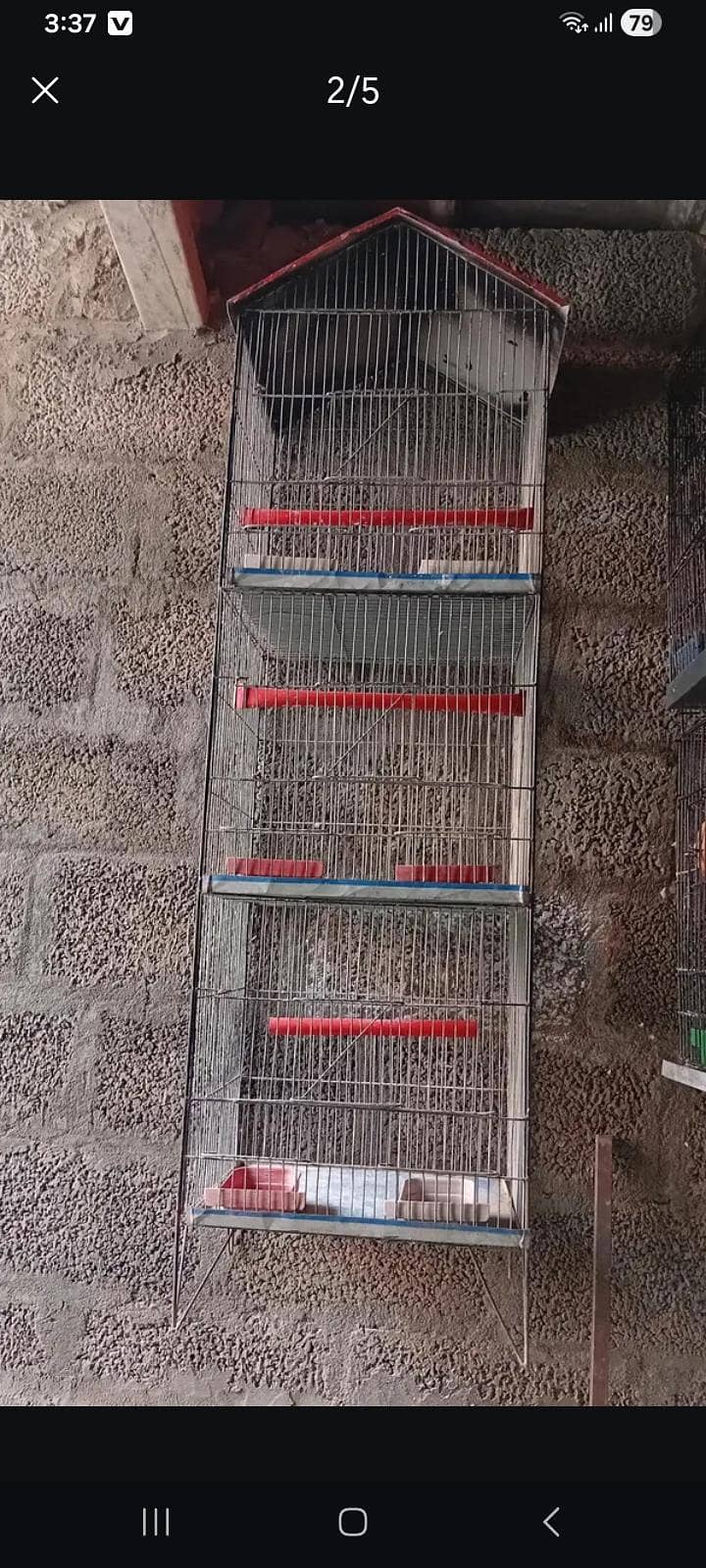 parrots,cages 5