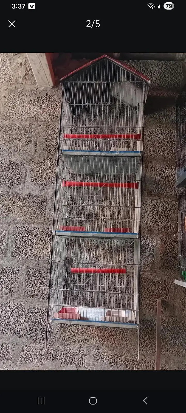 parrots,cages — photo 6