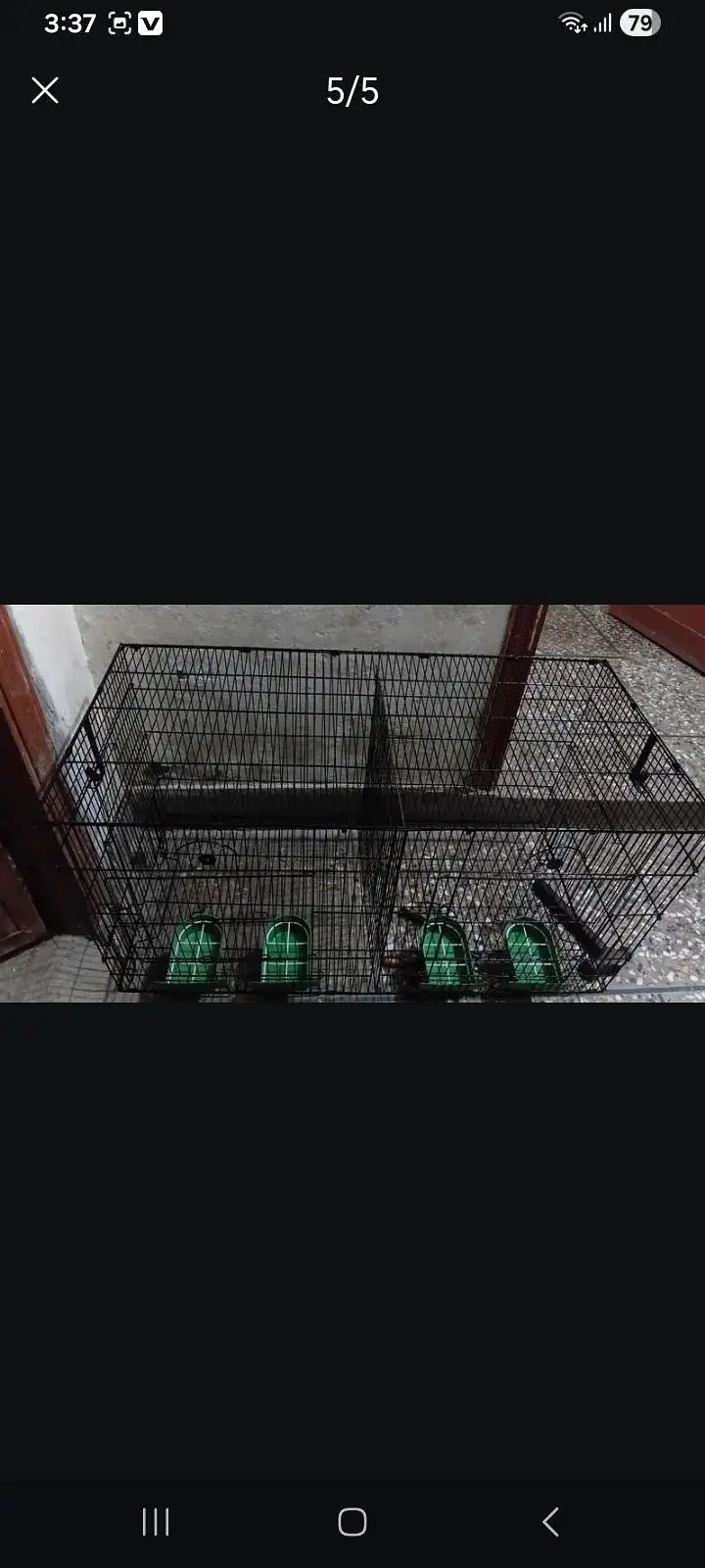 parrots,cages — photo 7