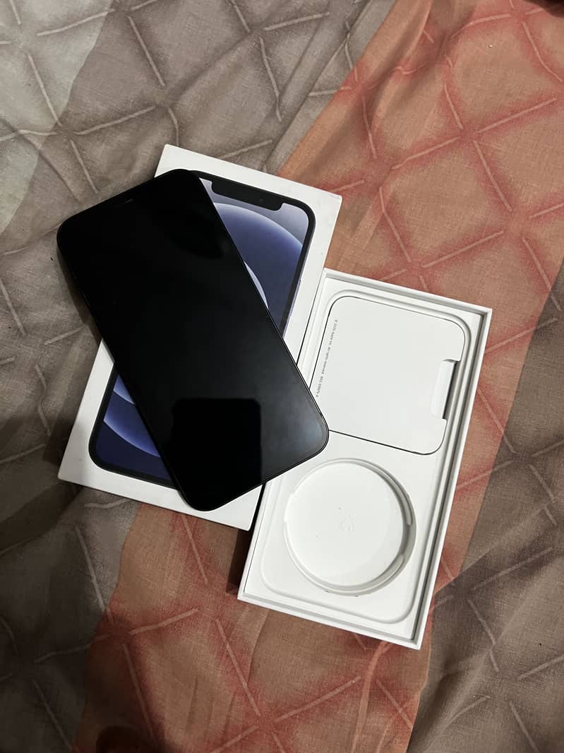 Apple iPhone 12 1