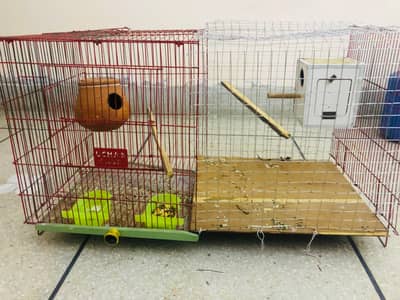 parrots cage