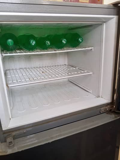 Pel fridge large size